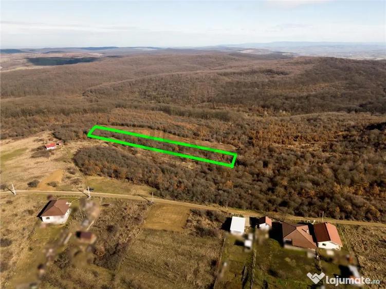 Reco Teren ideal pentru investitii- Saldabagiu de Munte - 4