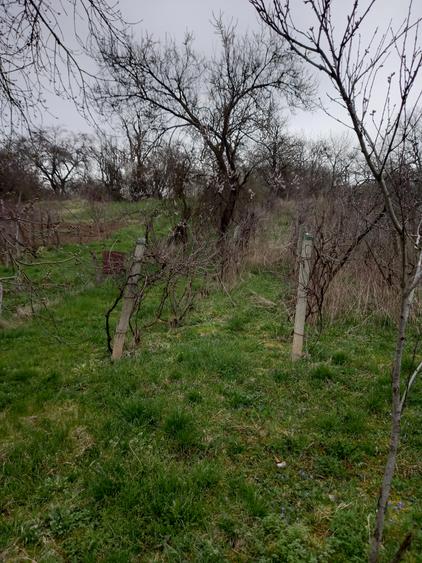 Teren Construcții intravilan de 2500 mp, în Dâmbu Pietros
