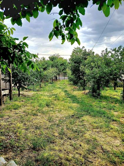 Casă individuală cu 5 camere cu Teren 4260 Mp în Seimeni