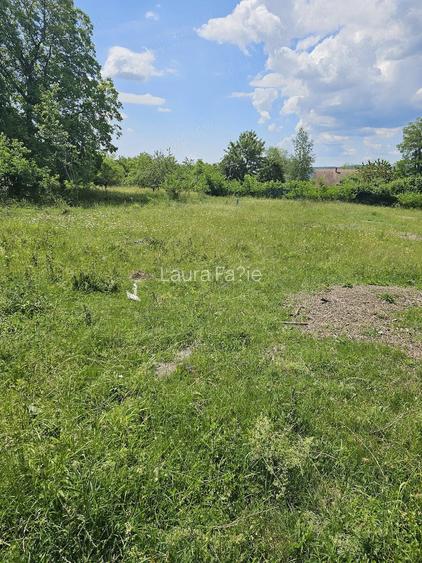 Brebu, Prahova | Teren 2.000 mp, 3 loturi + structura casa Mexi