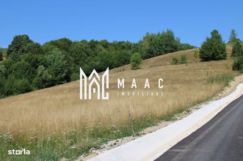 Spațiu comercial, în Cărpiniș