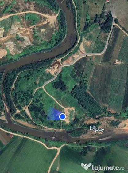 Teren de 8200 mp, în Tăuții-Măgherăuș
