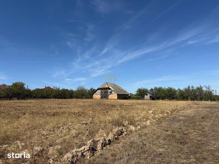 Casă cu 3 camere cu Teren 5393 Mp în Viile Satu Mare
