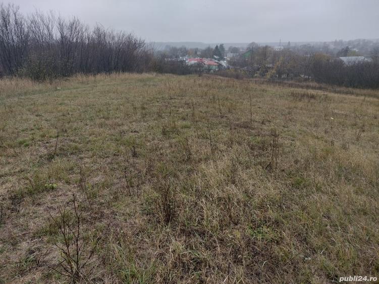 Teren în Bucșani