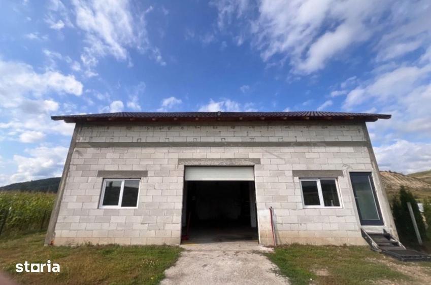 Spațiu comercial, de 1 mp, în Rogoz