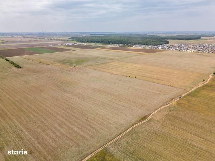 Dascalu - Teren Intravilan 7500 Mp, Investitie! - 6