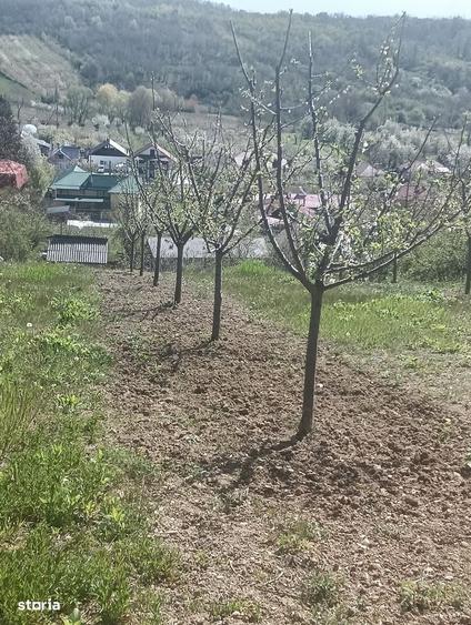 Casă cu 2 camere cu Teren 2500 Mp în Bogați