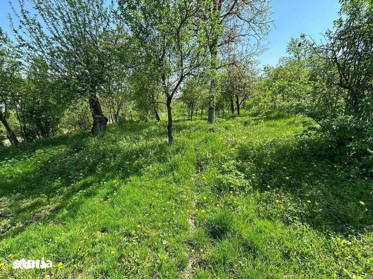 Casă cu 2 camere cu Teren 2982 Mp în Adămuș