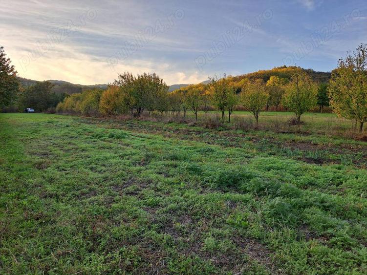 Teren de 1815 mp, în Măneciu