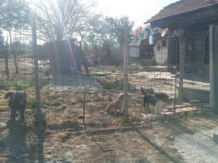 Casă cu 3 camere cu Teren 2476 Mp în Poșta Câlnău