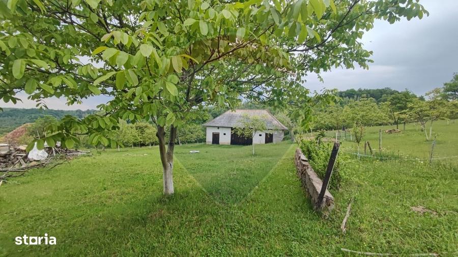 Casă cu 4 camere cu Teren 11769 Mp în Munteni