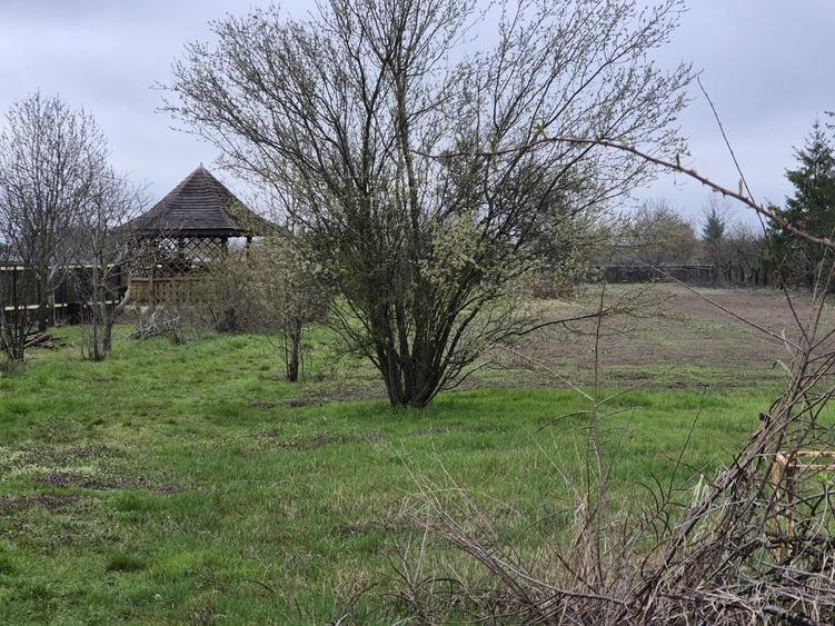Tartasesti, Gulia, str. Codrului - 6