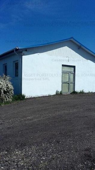Spațiu comercial, de 750 mp, în Manoleasa