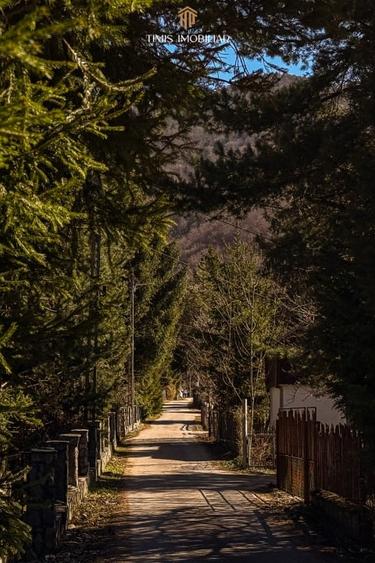 Teren agricol intravilan de 738 mp, în Poiana Mărului