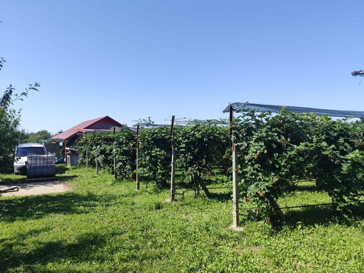 Proprietate specială, de 30 mp, în Nord