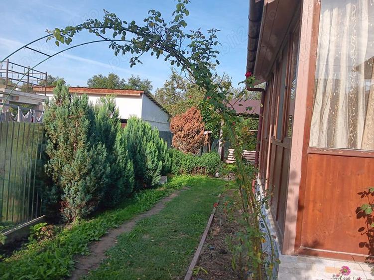 Casă cu Teren 500 Mp în Moinești