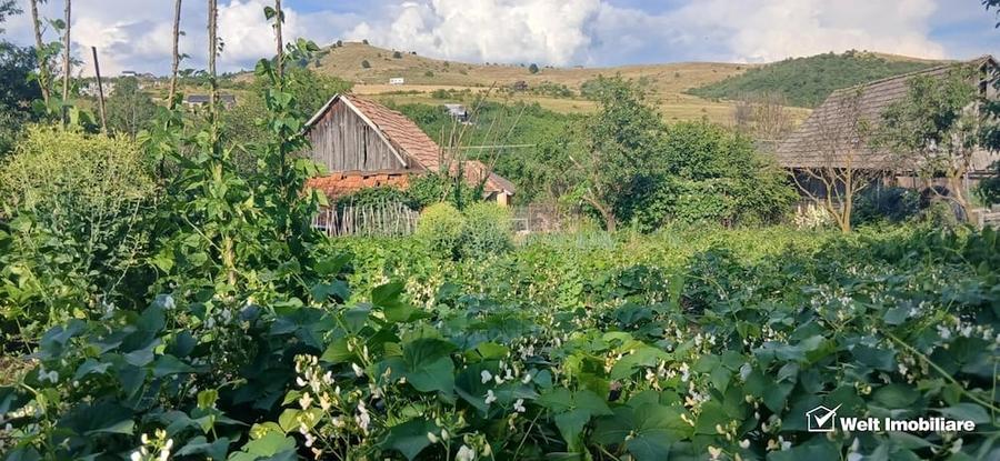 Casă cu Teren 1443 Mp în Sălicea