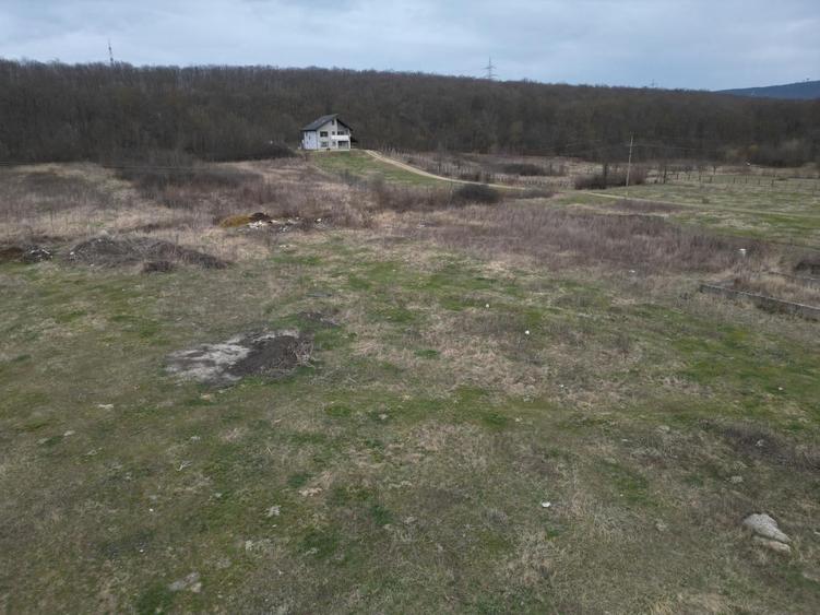 Teren Construcții intravilan de 3758 mp, în Mogoșești
