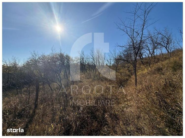 Teren de 3250 mp, în Cozieni