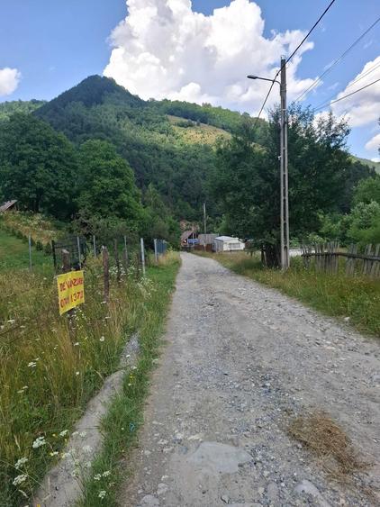 Vand teren intravilan - 4