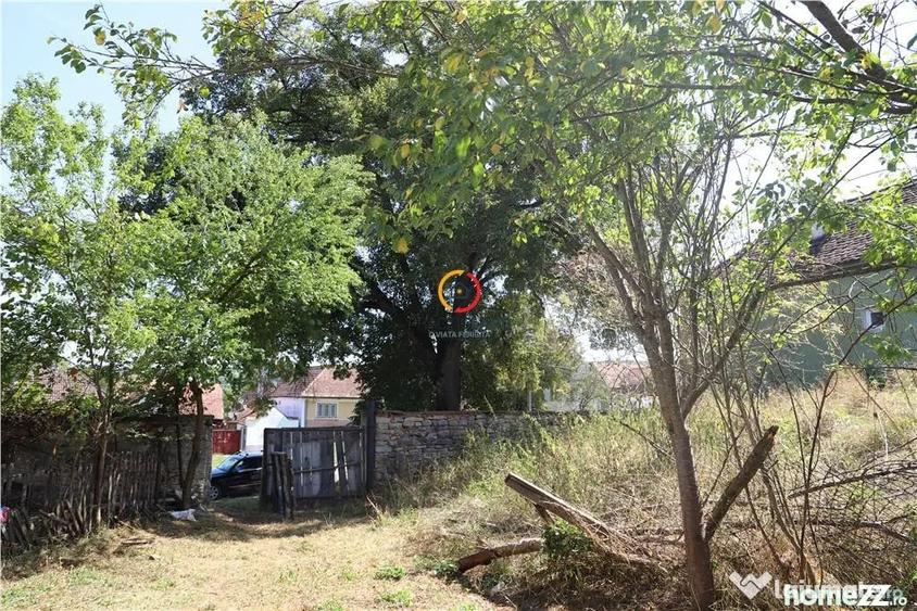 Casă cu 3 camere cu Teren 2556 Mp în Bruiu
