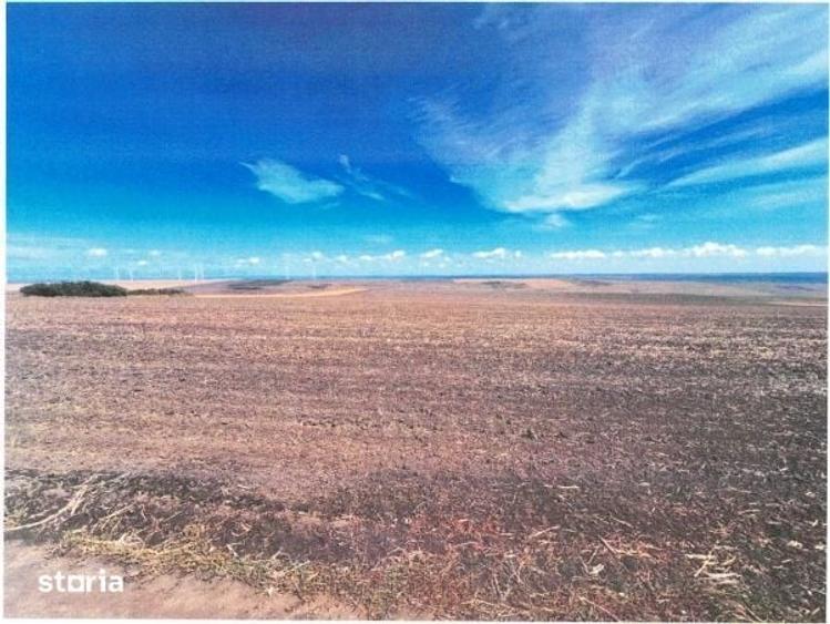 Teren de 11500 mp, în Arsura