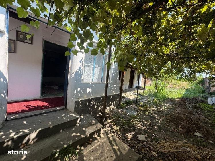 Spațiu comercial, în Malu Mare