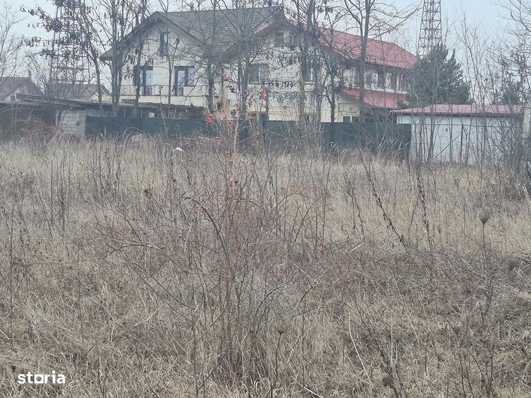 Teren de 1300 mp, în Balotești