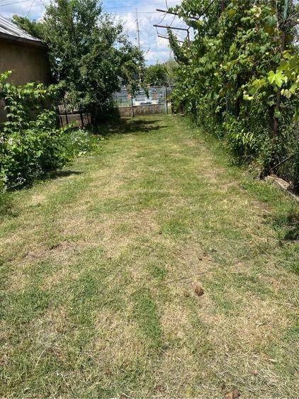 Casă cu Teren 3600 Mp în Coada Izvorului