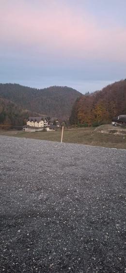 Teren de 2000 mp, în Dâmbovicioara