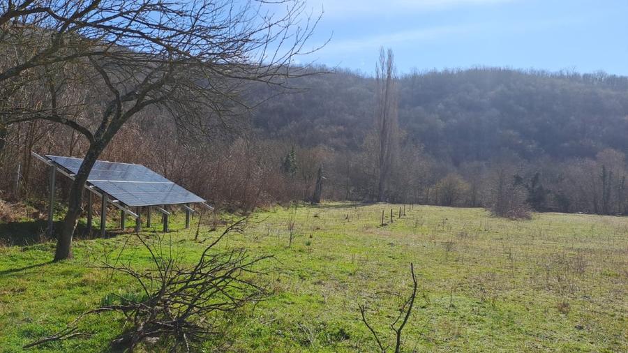 Teren agricol intravilan de 1670 mp, în Ciclova Română