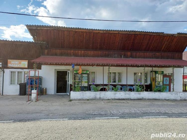 Casa, spatiu comercial, teren intravilan 3025 mp, sat Ciuperceni, pret atragator - 3