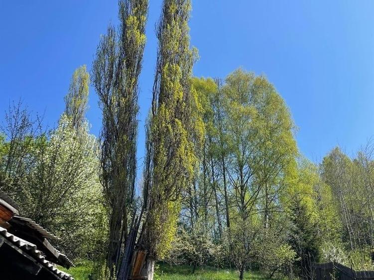 Casă individuală cu 5 camere cu Teren 1045 Mp în Central