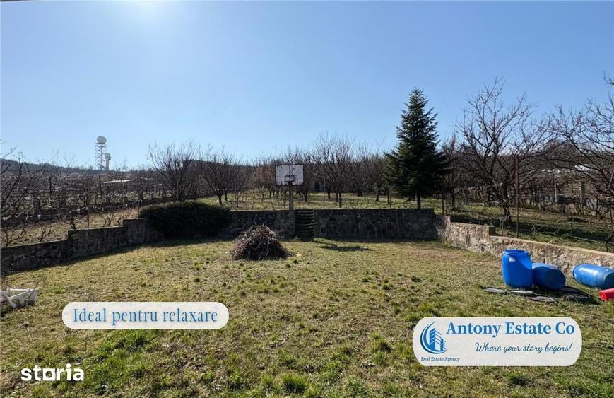 Antony Estate | Casa cu Livada proprietate deosebita, 300 pomi fruct - 3