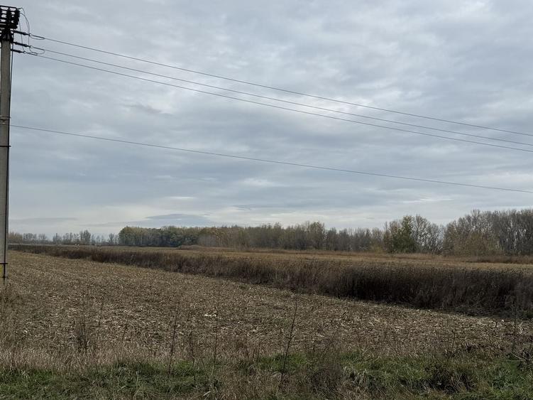 Teren de 5112 mp, în Mândrești-Moldova