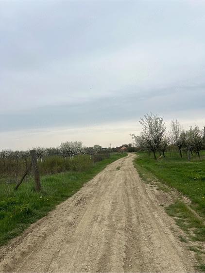 Teren de 1734 mp, în Turcinești