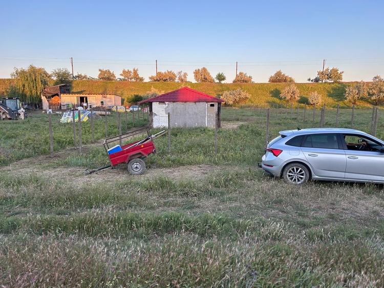 Teren Construcții intravilan de 1000 mp, în Bărboși