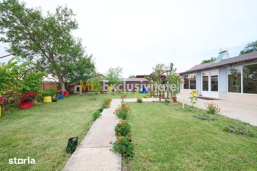 Casă cu 3 camere cu Teren 2881 Mp în Vedea