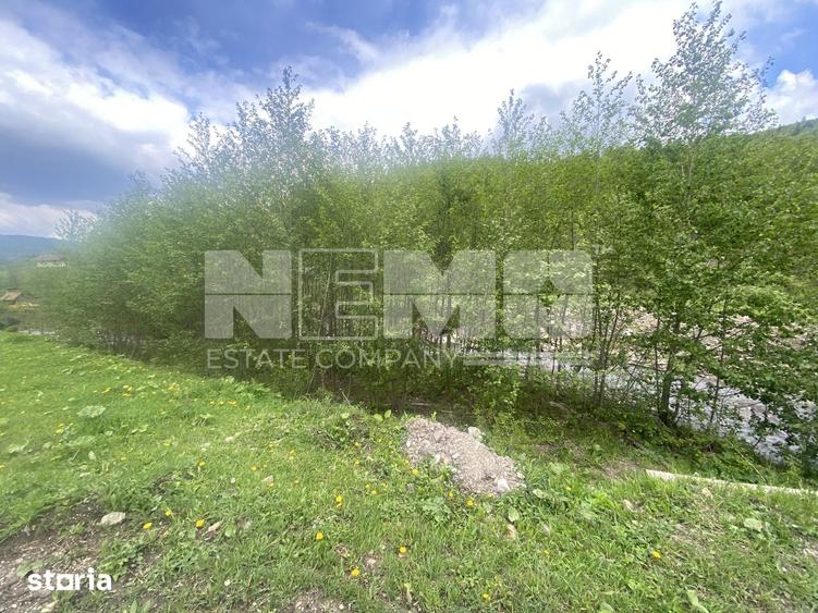Teren de 3100 mp, în Frasin