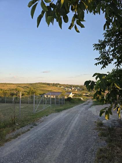 Teren de 800 mp, în Săldăbagiu de Munte