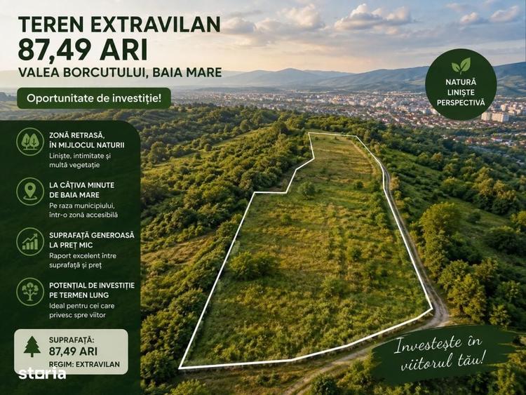 Spațiu comercial, în Valea Borcutului