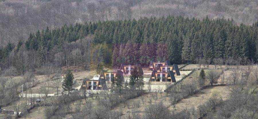 Teren Construcții intravilan de 2500 mp, în Valea Doftanei