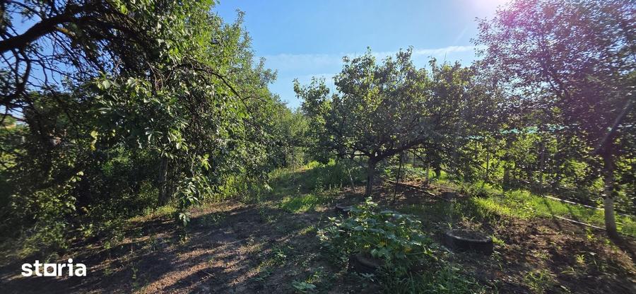 Casă cu 3 camere cu Teren 1500 Mp în Sălard