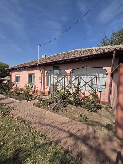 Casă cu Teren 1600 Mp în Viișoara