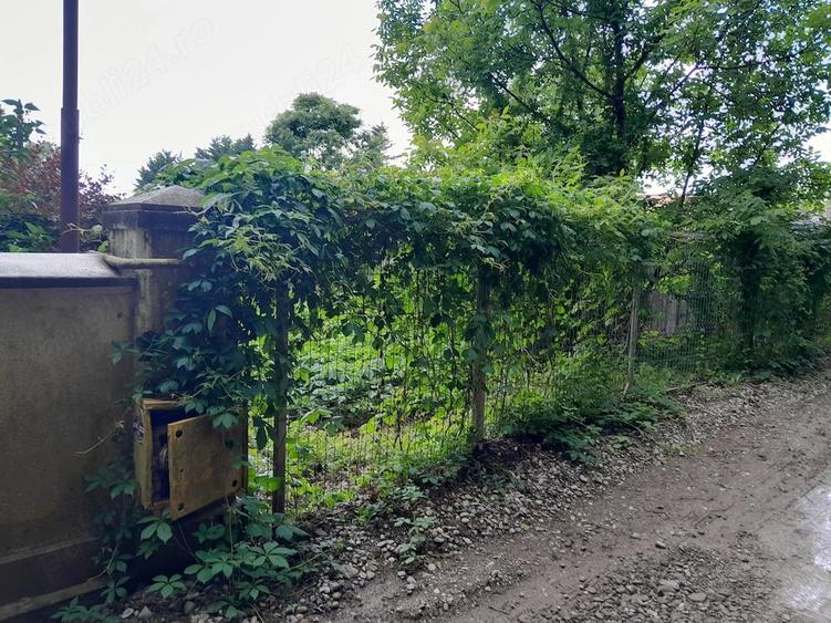 Teren intravilan de vanzare, Snagov, Ilfov - 3