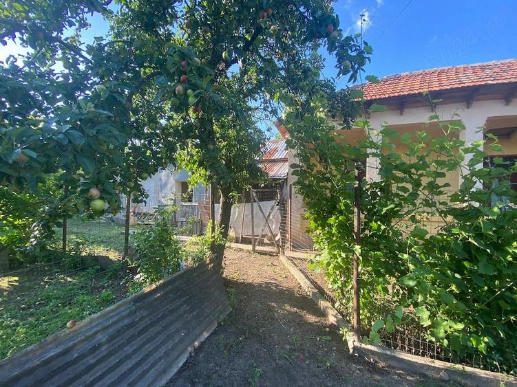 casa de vanzare - 2