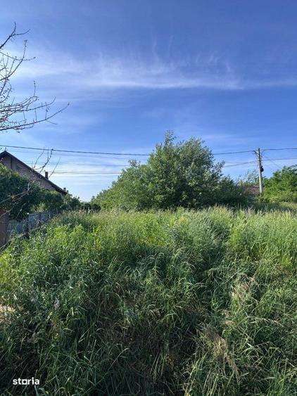 Spațiu comercial, în Central