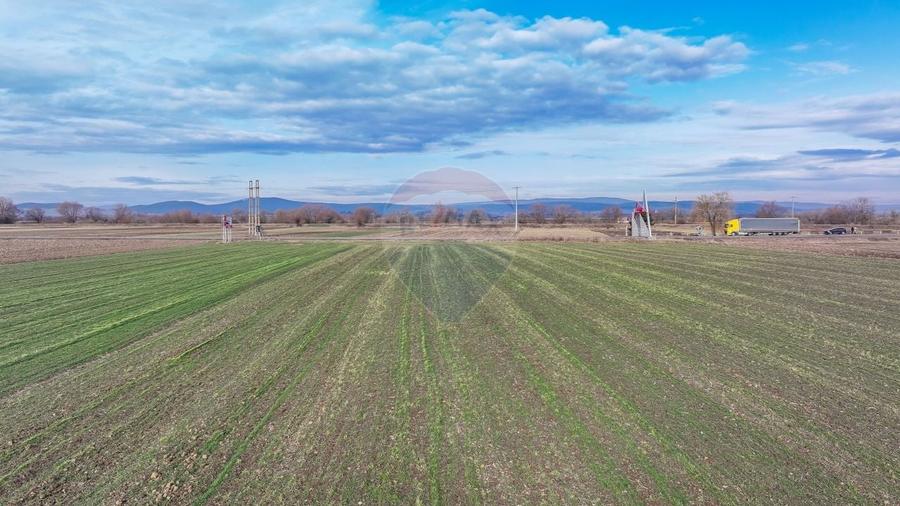 Teren agricol intravilan de 5300 mp, în Prejmer