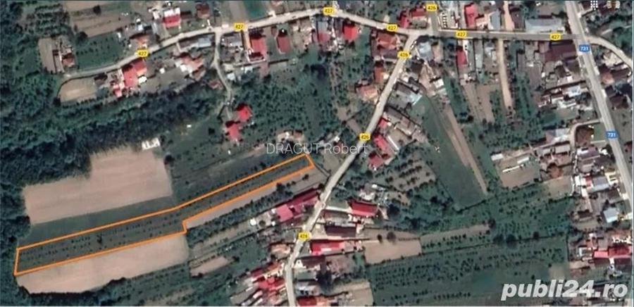 Vand teren INTRAVILAN, 4600 m - Sat Negreni, Comuna Dirmanesti ARGES