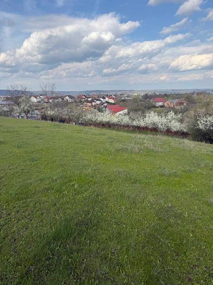 Teren de 1693 mp, în Geamăna